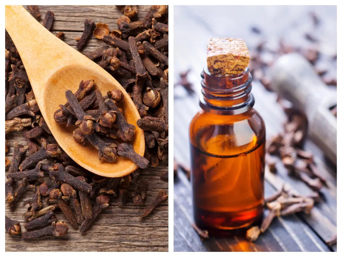 Benefits of Clove This kitchen spice Clove can fix all your health issues!