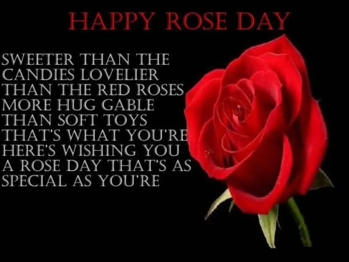 Punjabi Happy Rose Day Status Blajewka