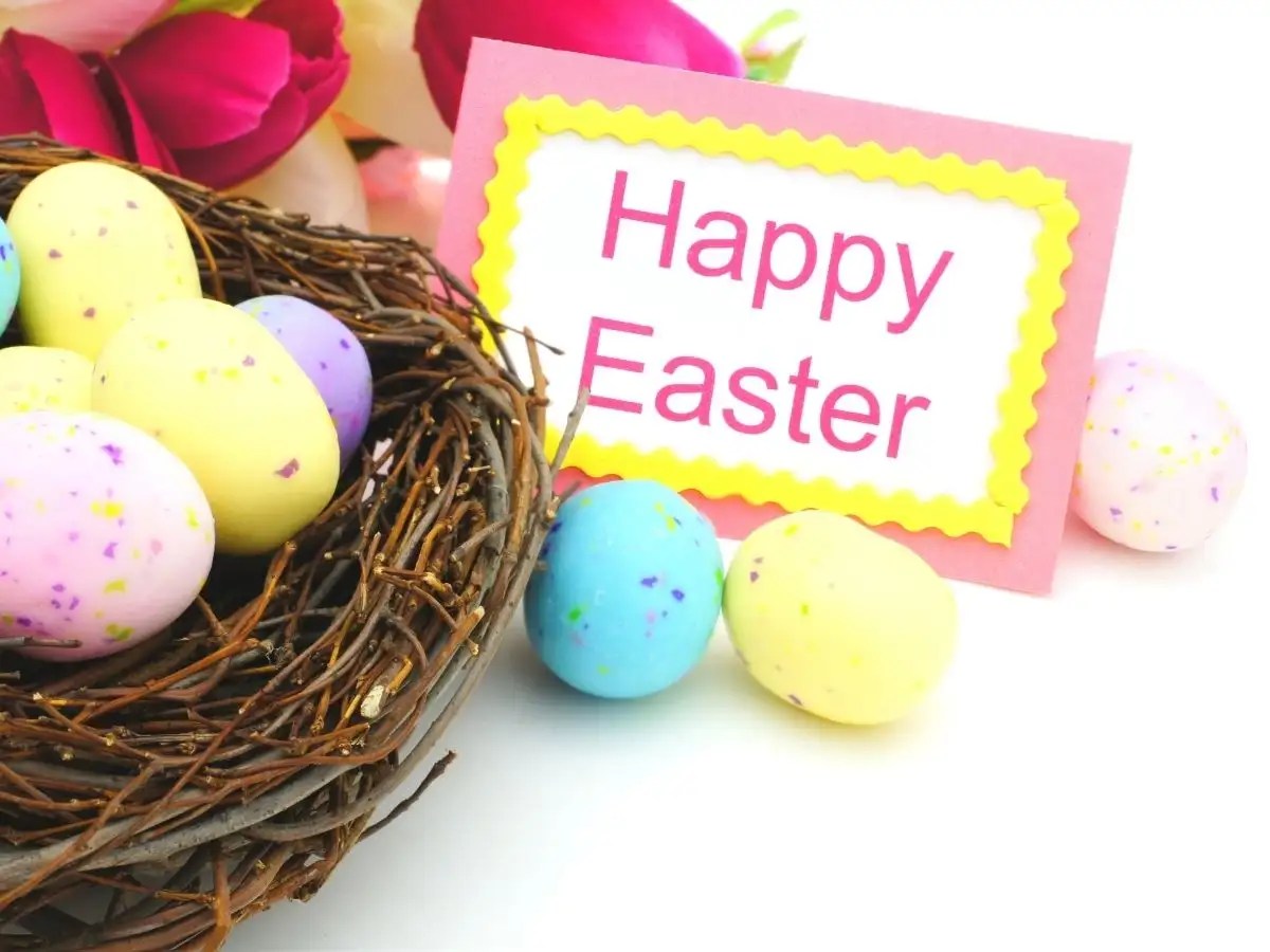 happy easter day 2021 Happy Easter Sunday 2021: Wishes, Messages, Quotes, Images, Facebook & Whatsapp Status - Times Of India