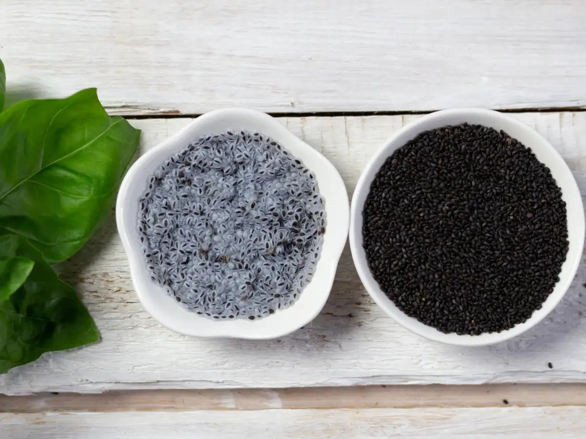 Chia vs Sabja seeds How are they different?