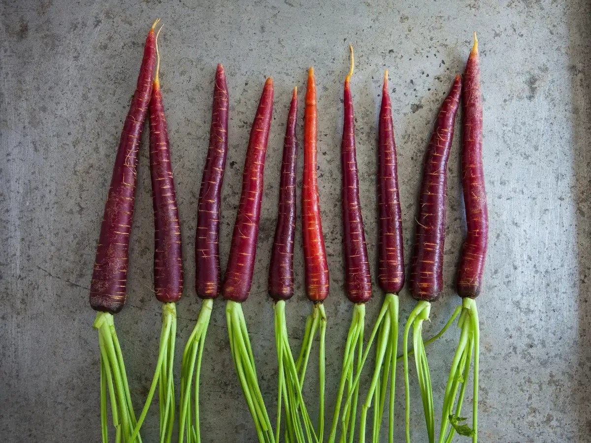 Purple Colour Fruits & Vegetables 5 purple fruits and vegetables that