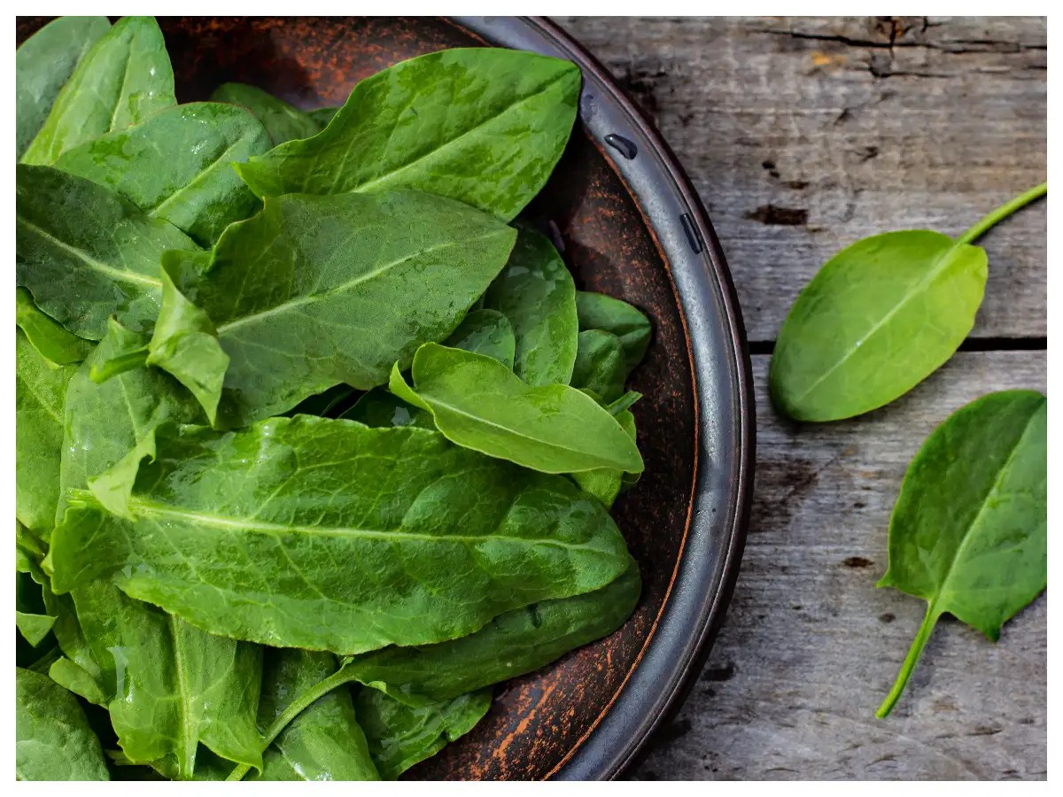 What are Sorrel leaves & their health benefits