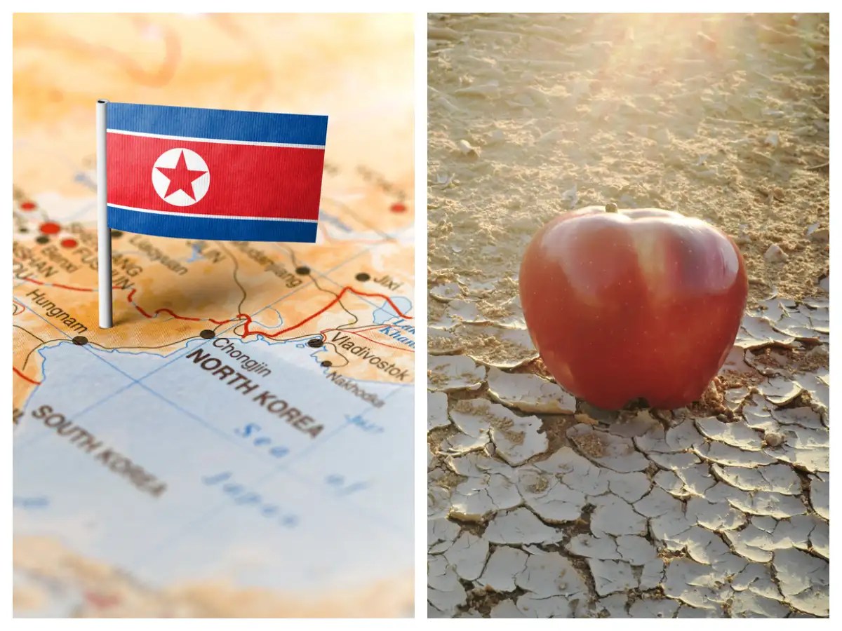 North Korea Food Shortage Skyrocketing food prices in North Korea