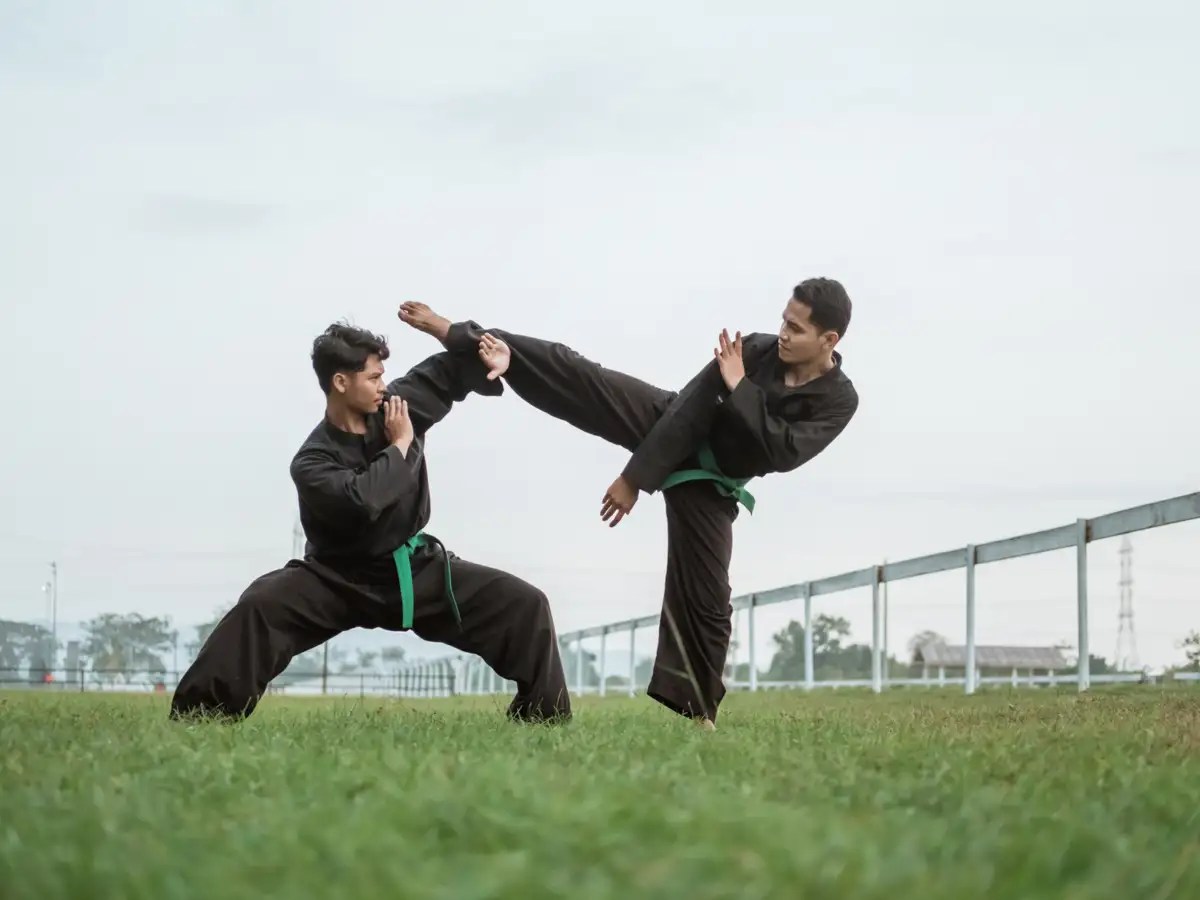 Health Benefits Of Martial Arts Why is martial arts more than self