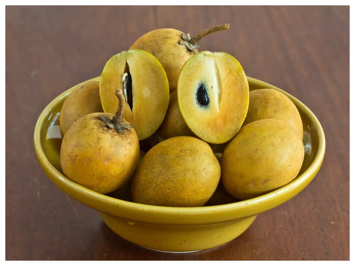 Everything you need to know about Sapota and its culinary uses