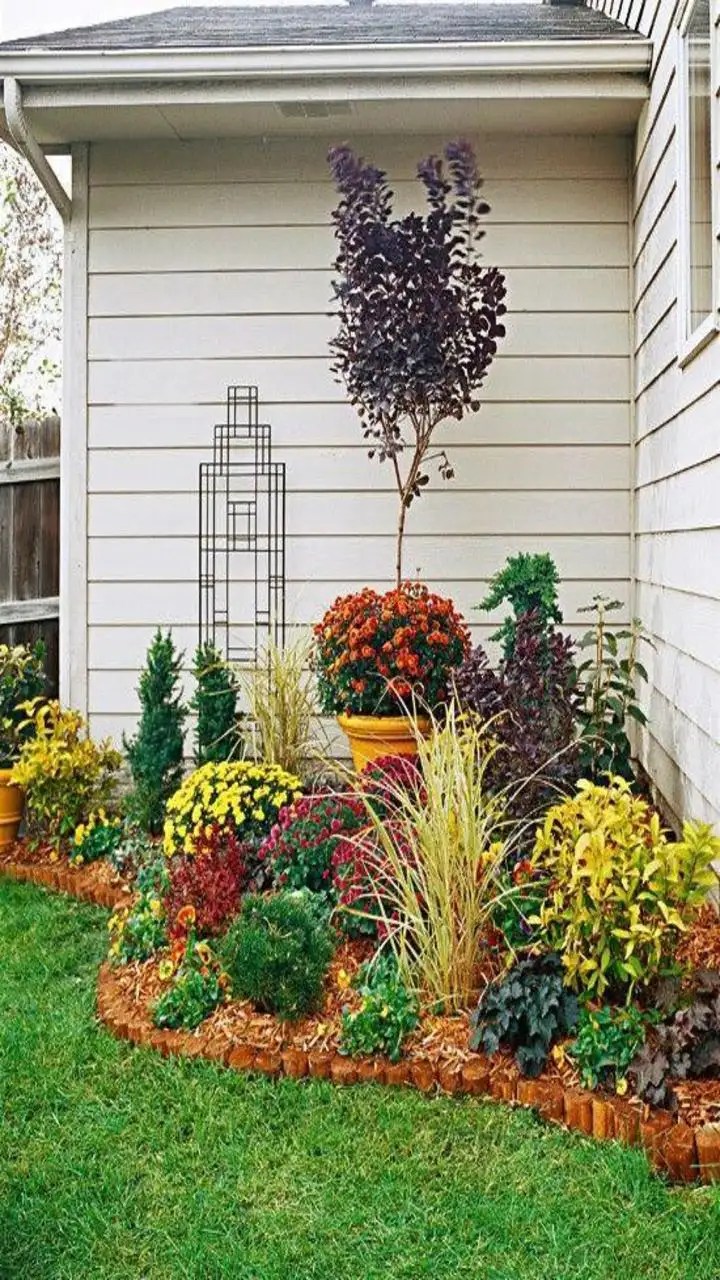 Front Garden Ideas On A Budget Fasci Garden
