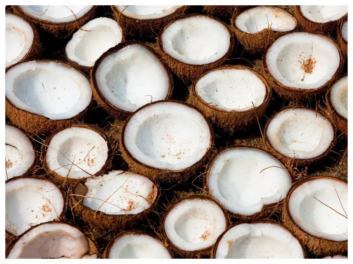 World Coconut Day Interesting facts about Coconut that you need to know