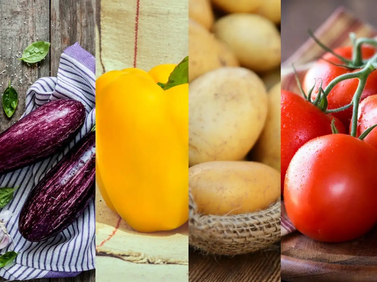 What are nightshade vegetables and why are they important for you