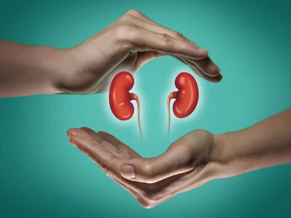 Doctors explain how a highsalt and a highprotein diet harm your kidneys