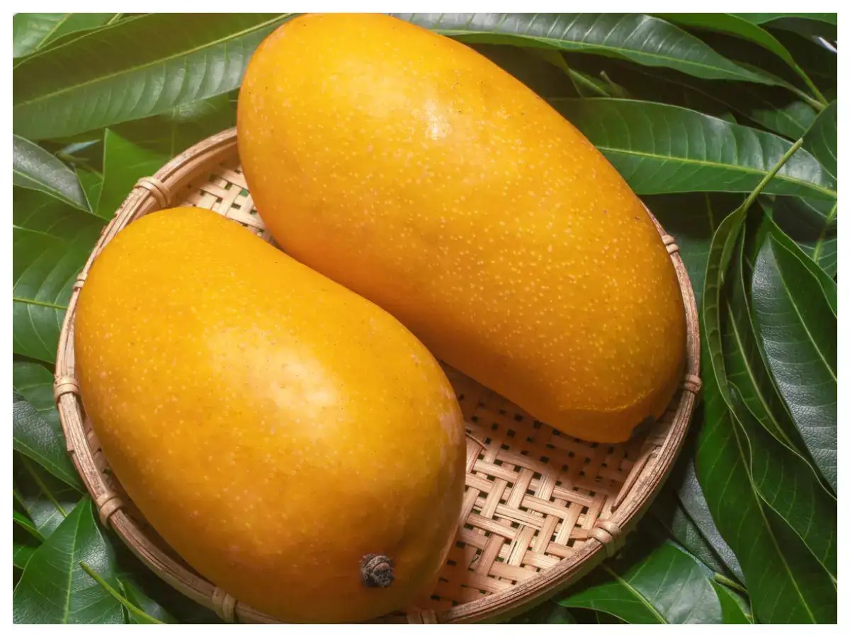Side effects of mangoes that go hand in hand with their sweetness