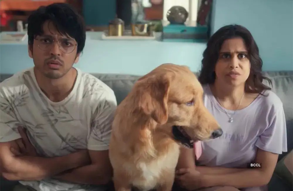 Pet Puraan Season 1 Review A feelgood lesson in pet parenting and