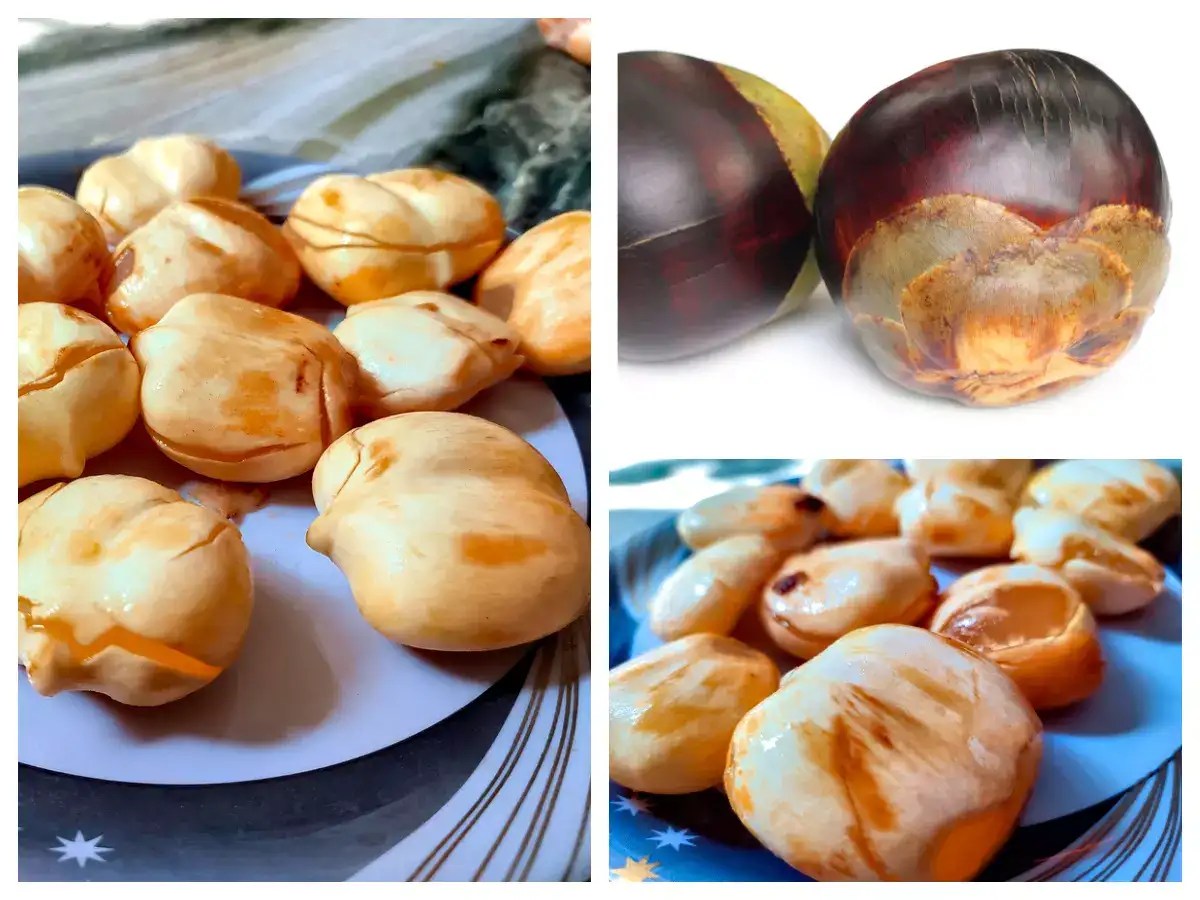 What is Ice Apple? What makes this rare Indian fruit a superfood?