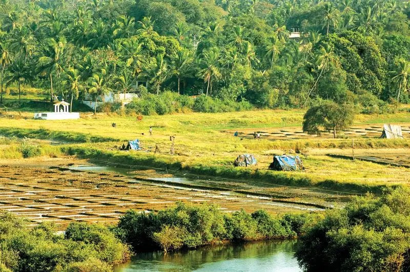 ‘2.2 lakh sqm agri land in North Goa made settlement’