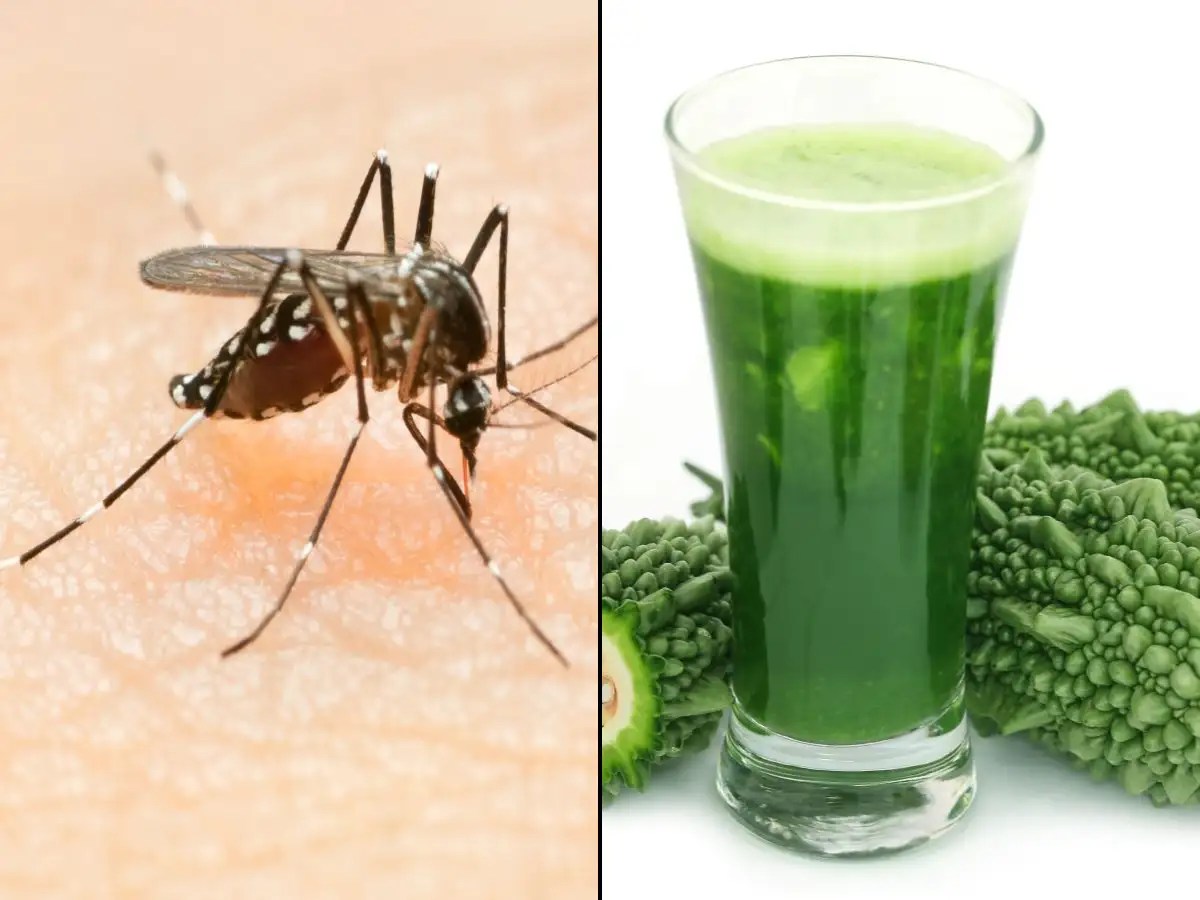Dengue cases on rise in India; these drinks may help fight the disease
