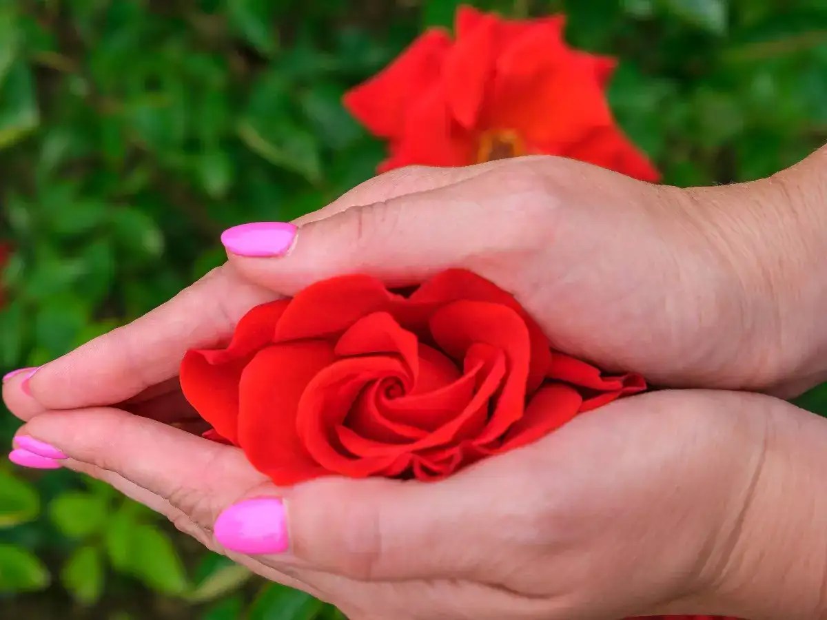 Still a virgin? Know what kind of hymen you have