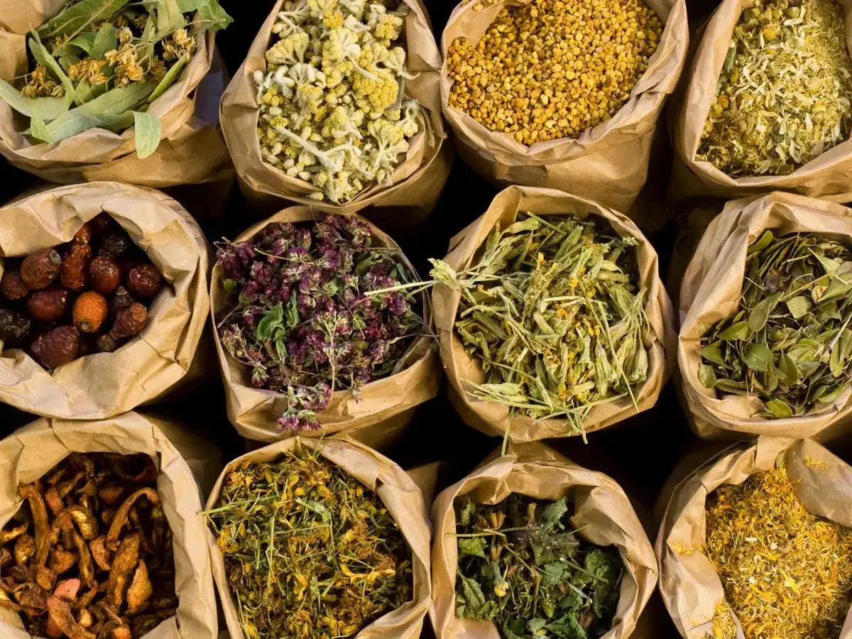 5 rare herbs found in India and their uses