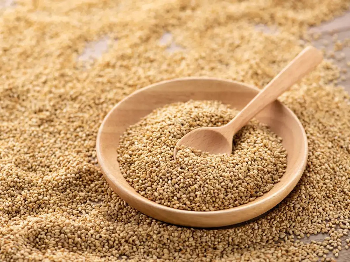 Makar Sankranti 2023 Importance of sesame seeds in Hinduism and how