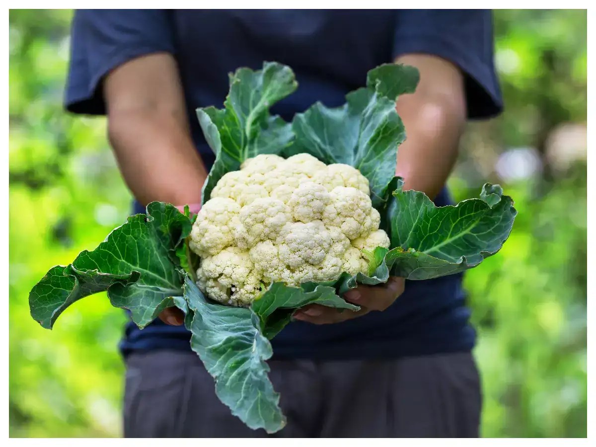 Why you must not throw away Cauliflower leaves