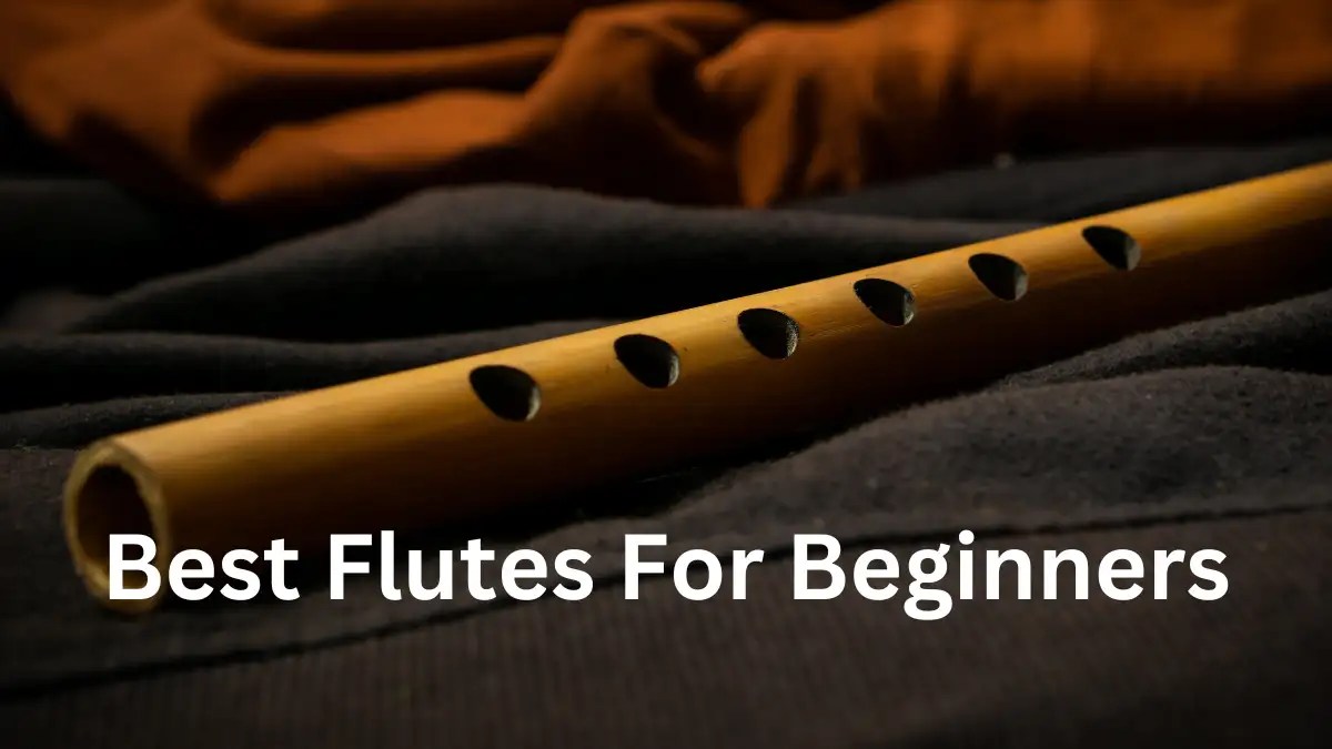 Best flutes for beginners Top picks Most Searched Products Times