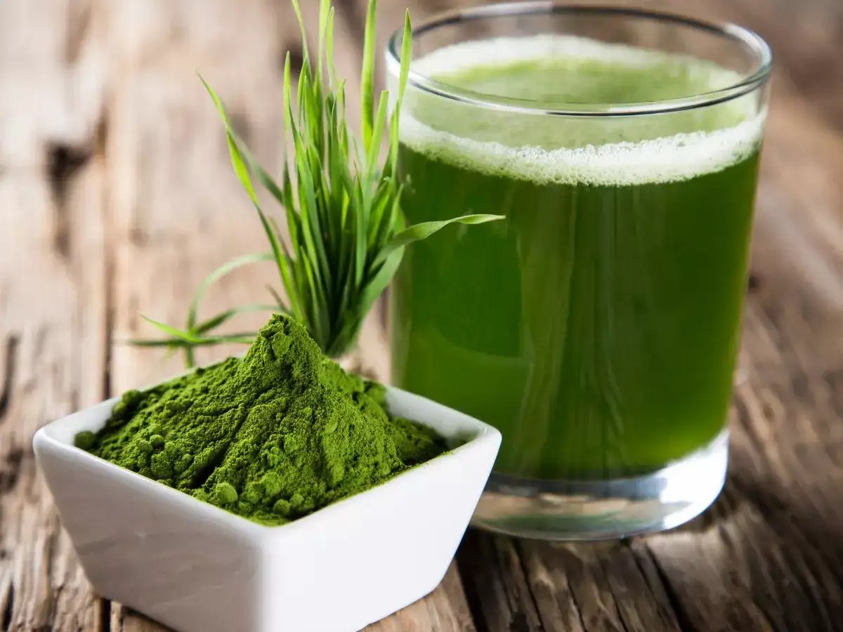 Why is wheatgrass powder called green blood? Read about its numerous