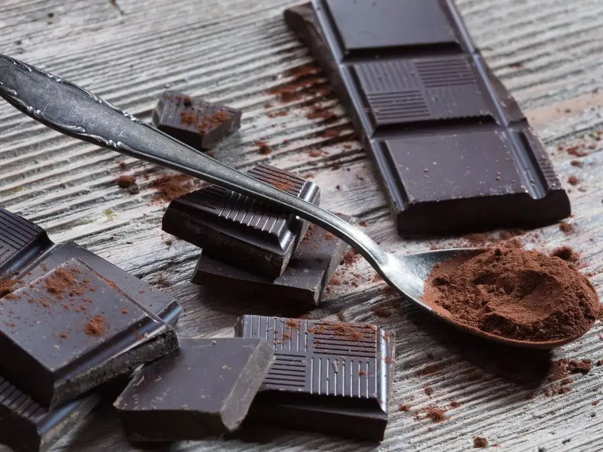 Is dark chocolate actually healthy? Here’s the truth The Times of India