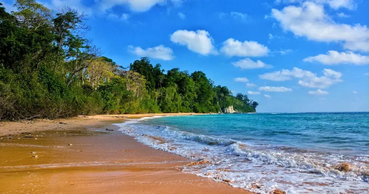 Andaman and Nicobar facts for the curious travellers Times of India