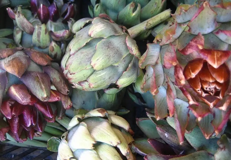 Castroville Artichoke Festival in Salinas Times of India Travel
