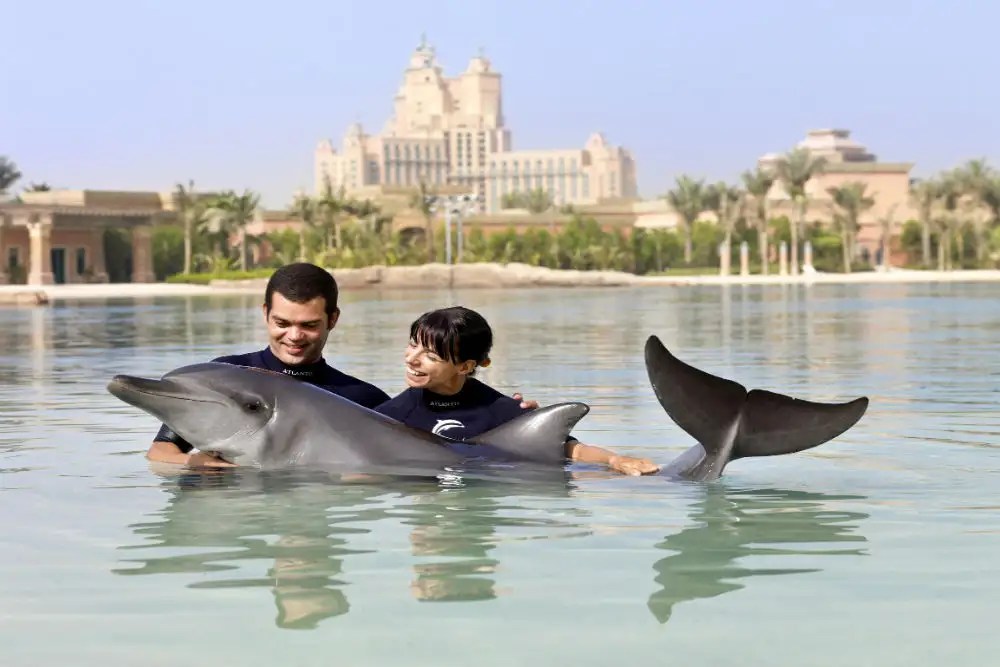 Dolphin Bay—Atlantis, The Palm Dubai Get the Detail of Dolphin Bay