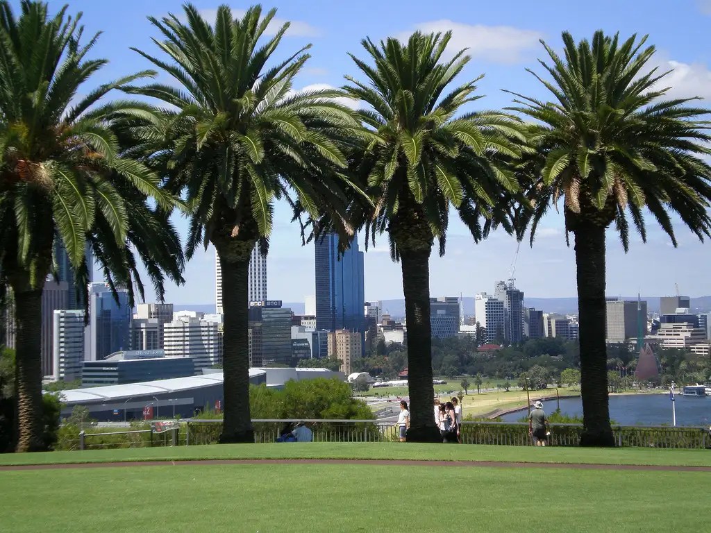 King's Park Perth Get the Detail of King's Park on Times of India Travel