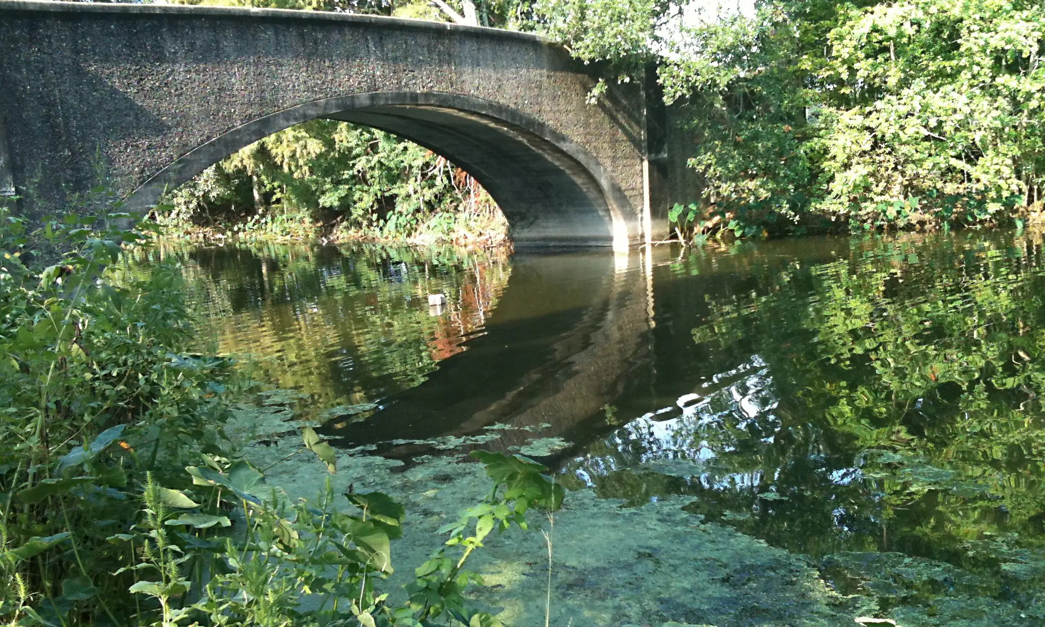 Audubon Park New Orleans Get the Detail of Audubon Park on Times of