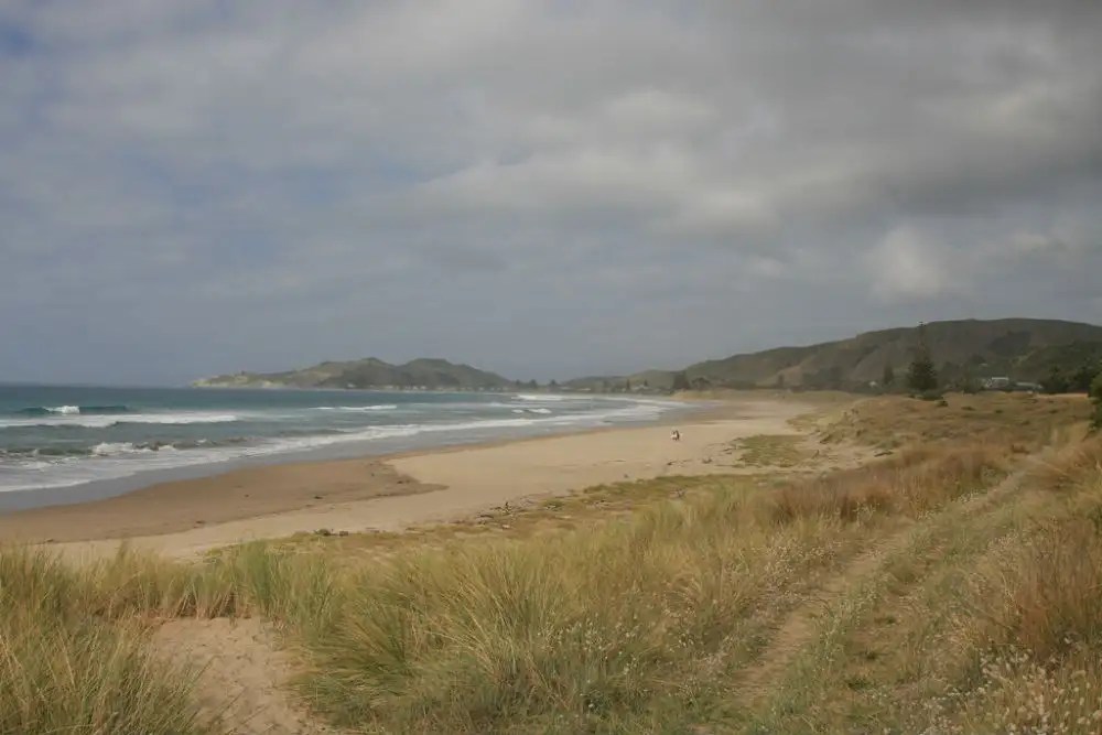 Wainui Beach, New Zealand Times of India Travel