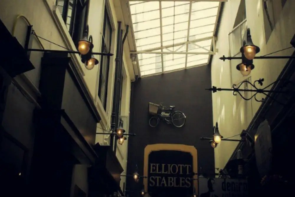 Elliott Stables in Auckland Times of India Travel