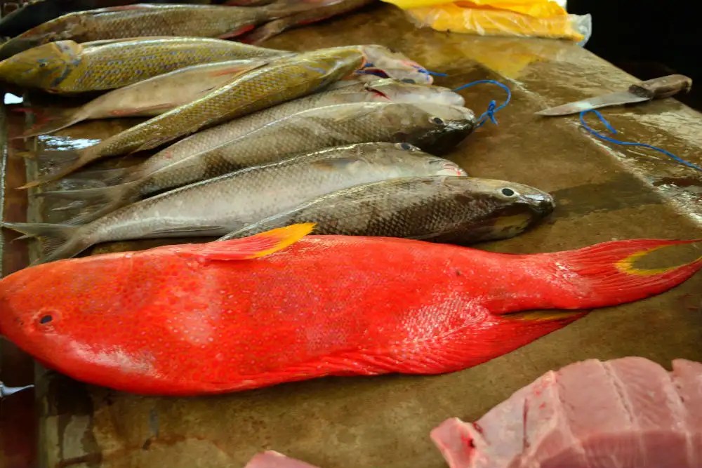 Markets along Beau Vallon, Mahe Times of India Travel