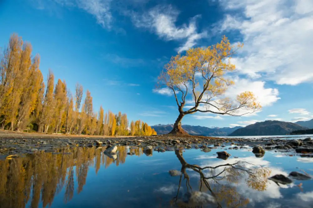Lake Wanaka Queenstown Get the Detail of Lake Wanaka on Times of