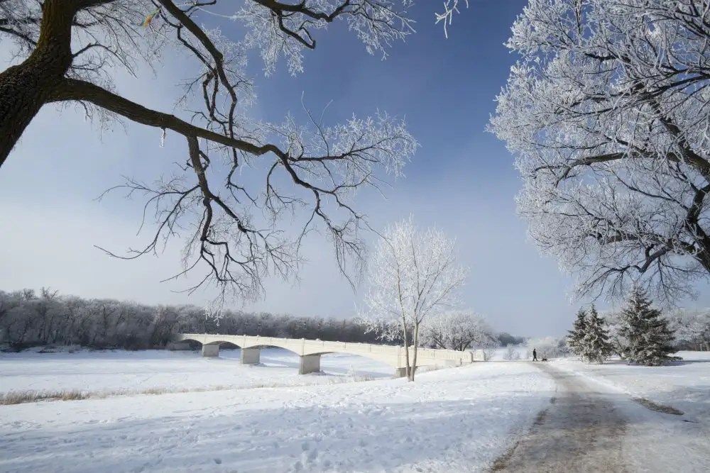 Experience Winnipeg’s winter wonderland Get the Detail of
