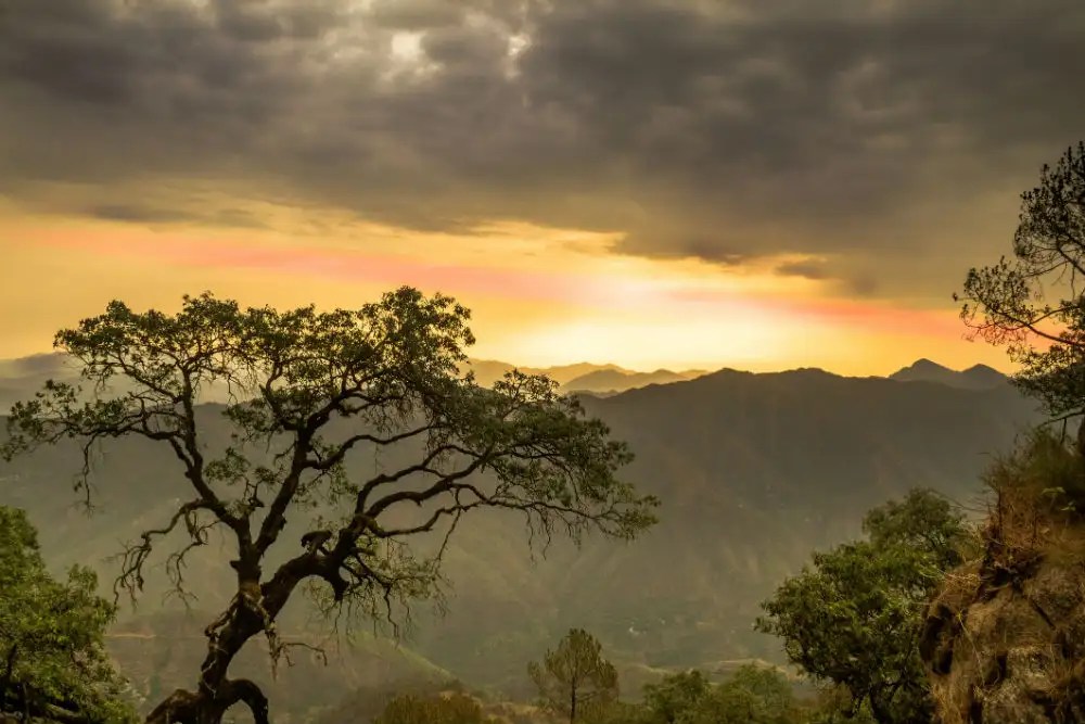 Lansdowne, Lansdowne Times of India Travel