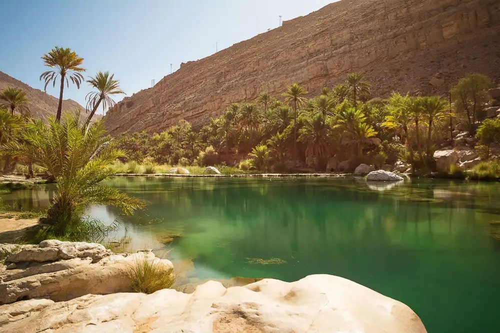 Do you know how a desert nation like Saudi Arabia gets its water supply