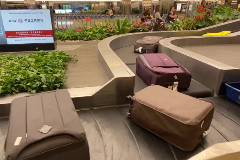 Singapore’s Changi Airport is now famous for its ‘polite’ luggage! Times of India Travel