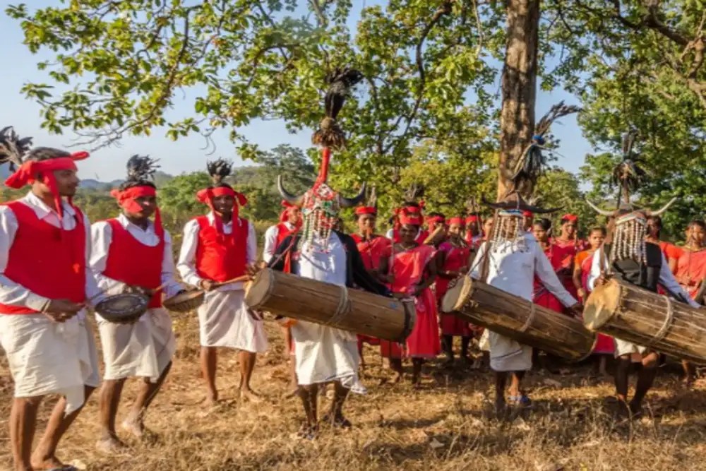 This interesting tribal dance form of Chhattisgarh has men wearing
