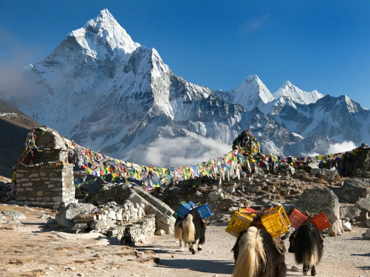 Nepal opens up for mountaineering, but with some strict rules and regulations Times of India