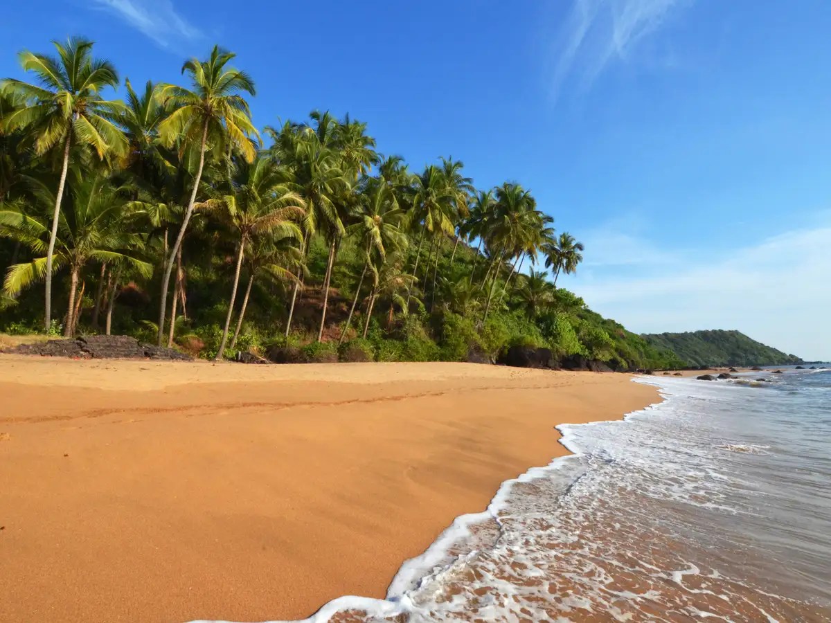 The best of India’s cleanest beaches Times of India Travel