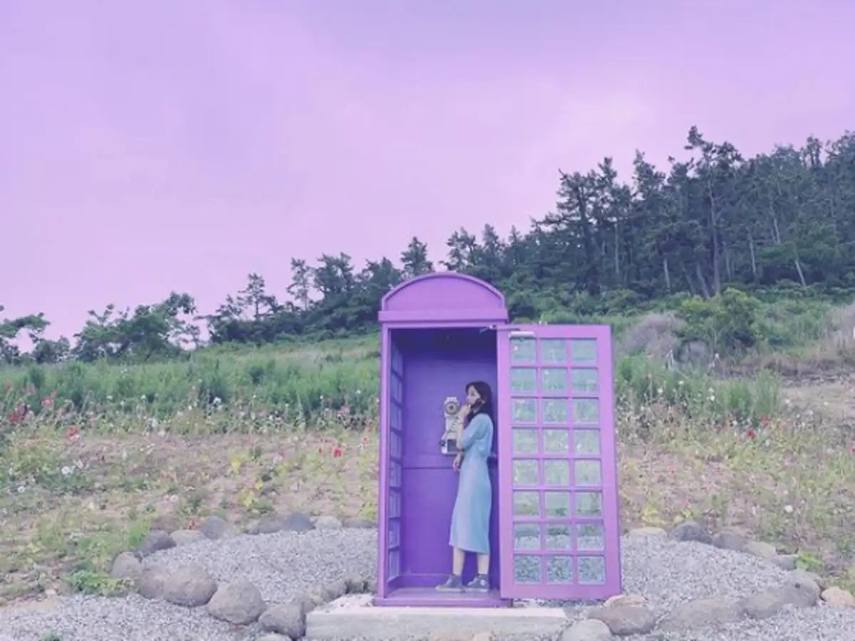 This purple island in South Korea looks every bit a wonderland Times of India Travel