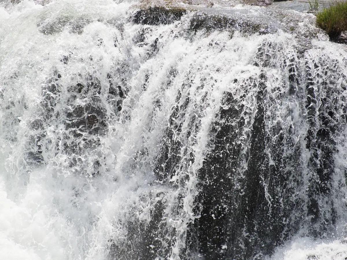 Kerala's Kunchikal Falls, the largest waterfall in India Times of