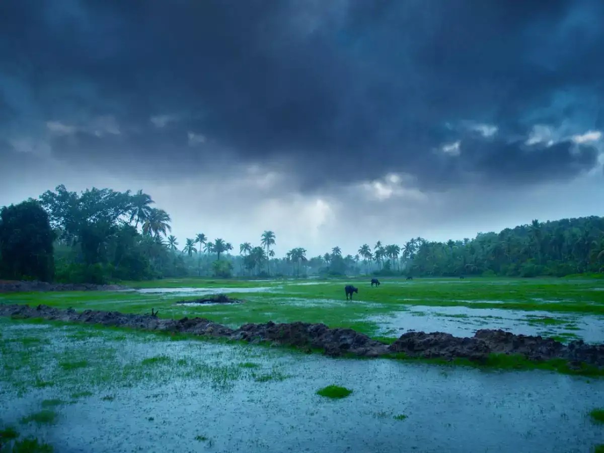 AweInspiring Collection of 999+ Stunning 4K Images Showcasing Natural