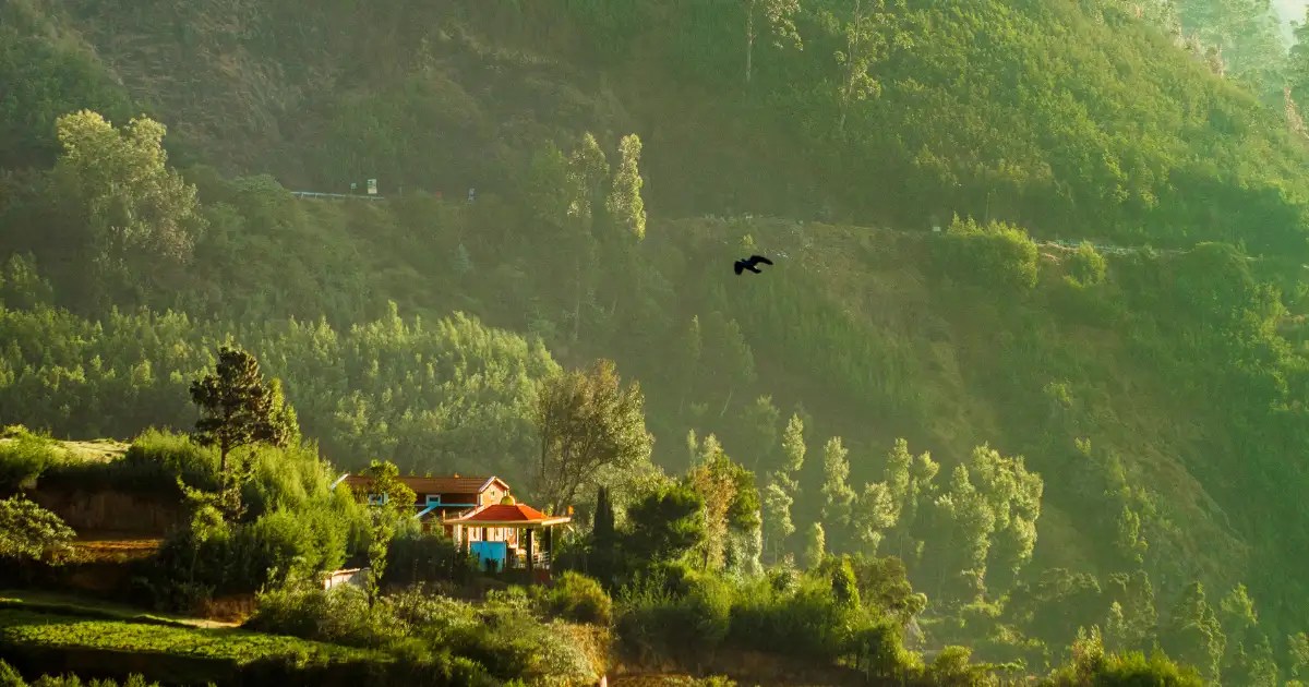 10 hill stations in South India to explore this September Times of India