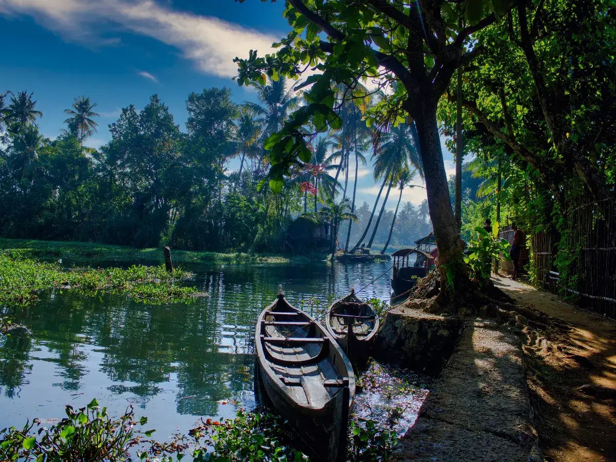 Interesting travel facts that make Kerala unique | Times of India Travel