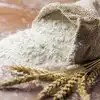 Wheat Flour Meaning In Hindi