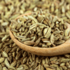 Fennel Seeds In Marathi farmer visit