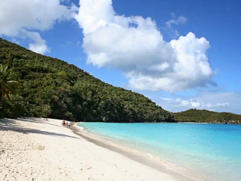 Anse de Grande Saline Beach Martinique Get the Detail of Anse de