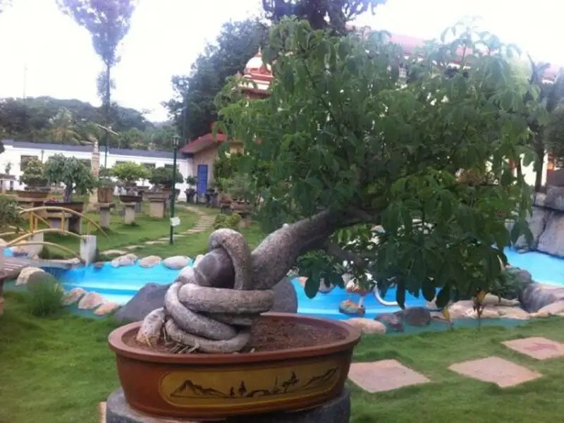 Kishkindha Moolika Bonsai Garden Mysore Get the Detail of Kishkindha